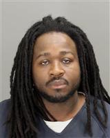 KELSEY LEE WHITE Photo / KELSEY LEE WHITE Images