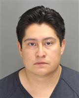 PEDRO P LUCIO Mugshot / Oakland County MI Arrests / Oakland County Michigan Arrests