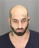 MICHAEL PETER FRONIMOS Mugshot / Oakland County MI Arrests / Oakland County Michigan Arrests