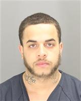 DESMOND TYLER DUNN Mugshot / Oakland County MI Arrests / Oakland County Michigan Arrests