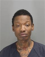 KRISTOPHER DEON LEVINGSTON Photo / KRISTOPHER DEON LEVINGSTON Images