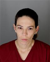 AMANDA LYNN MCMULLEN Mugshot / Oakland County MI Arrests / Oakland County Michigan Arrests