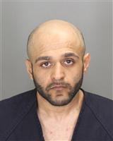 HASSAN MAHMOOD MALIK Mugshot / Oakland County MI Arrests / Oakland County Michigan Arrests