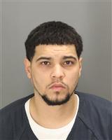 ESTEBAN  NEGRON Mugshot / Oakland County MI Arrests / Oakland County Michigan Arrests