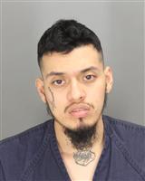 GEORGE  CASTRO Mugshot / Oakland County MI Arrests / Oakland County Michigan Arrests