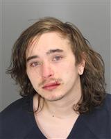 LANDON M COFFEL Mugshot / Oakland County MI Arrests / Oakland County Michigan Arrests