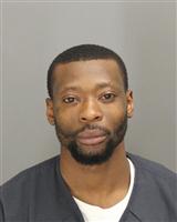 PAUL ABIMBOLA OGUNYEMI Mugshot / Oakland County MI Arrests / Oakland County Michigan Arrests