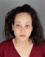 SERENA MARIE BOYLE Mugshot / Oakland County MI Arrests / Oakland County Michigan Arrests