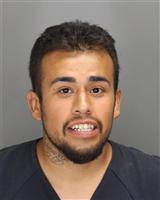 ISMAIL RAMON IBARRA Photo / ISMAIL RAMON IBARRA Images