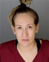 JESSICA LUZ VELAZQUEZ Mugshot / Oakland County MI Arrests / Oakland County Michigan Arrests