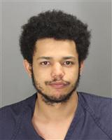 ISAAH MICHAEL HILLIGOSS Mugshot / Oakland County MI Arrests / Oakland County Michigan Arrests