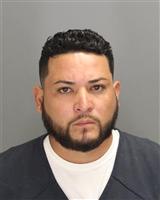 RENE DELAROSA GONZALEZ Mugshot / Oakland County MI Arrests / Oakland County Michigan Arrests