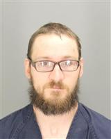 BRADFORD JOSEPH VANEFFEN Mugshot / Oakland County MI Arrests / Oakland County Michigan Arrests