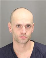 MARK LEWIS RICHARDSON Mugshot / Oakland County MI Arrests / Oakland County Michigan Arrests