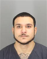 JALIL MILAD ABUSHANAB Mugshot / Oakland County MI Arrests / Oakland County Michigan Arrests