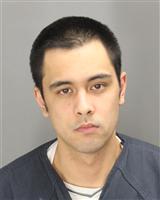 THOMAS GEORGE SELLICK Photo / THOMAS GEORGE SELLICK Images