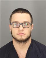 ADAM MITCHEL GINTHER Mugshot / Oakland County MI Arrests / Oakland County Michigan Arrests