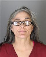 LANA BETH POSNER Mugshot / Oakland County MI Arrests / Oakland County Michigan Arrests