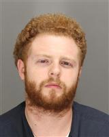 NICHOLAS ROSS DESIMONE Mugshot / Oakland County MI Arrests / Oakland County Michigan Arrests