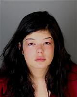 CHRISTY LYNN ESSA Mugshot / Oakland County MI Arrests / Oakland County Michigan Arrests