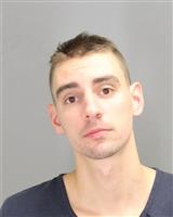 LUKE ANTHONY MEISTER Mugshot / Oakland County MI Arrests / Oakland County Michigan Arrests