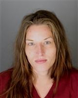 MONICA JO PALAZZOLO Mugshot / Oakland County MI Arrests / Oakland County Michigan Arrests