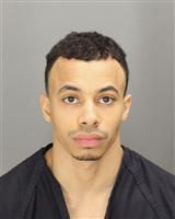 BADRADEEN TOUFIC NAGI Mugshot / Oakland County MI Arrests / Oakland County Michigan Arrests