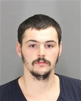 ANDREW LEE FERRELL Mugshot / Oakland County MI Arrests / Oakland County Michigan Arrests