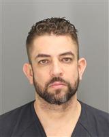 JOSEPH ANDREW SANTORO Mugshot / Oakland County MI Arrests / Oakland County Michigan Arrests