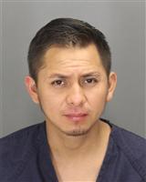 JAVIER  HERNANDEZARROYO Photo / JAVIER  HERNANDEZARROYO Images