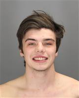 CHRISTIAN WAYNE LAWSON Mugshot / Oakland County MI Arrests / Oakland County Michigan Arrests