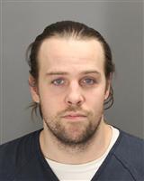 RYE ANDREW JACKSON Mugshot / Oakland County MI Arrests / Oakland County Michigan Arrests