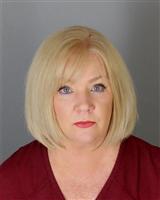 STEPHANIE LYNNE SIMICH Mugshot / Oakland County MI Arrests / Oakland County Michigan Arrests