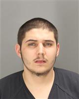 BARRY LEE LUBMAN Mugshot / Oakland County MI Arrests / Oakland County Michigan Arrests