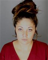 AMANDA LYNNE BLEVINS Mugshot / Oakland County MI Arrests / Oakland County Michigan Arrests