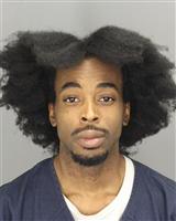 DONALD  SULLIVAN Mugshot / Oakland County MI Arrests / Oakland County Michigan Arrests