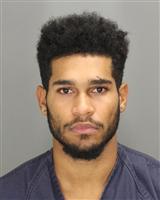 DOMINIC IVAN BRIM Mugshot / Oakland County MI Arrests / Oakland County Michigan Arrests