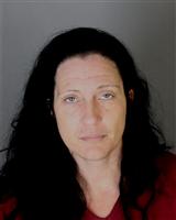 SHERRIE ANN LABELLE Mugshot / Oakland County MI Arrests / Oakland County Michigan Arrests