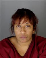 JANINE  HOLDEN Mugshot / Oakland County MI Arrests / Oakland County Michigan Arrests