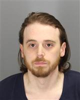DANIEL SHAYE LEVINE Mugshot / Oakland County MI Arrests / Oakland County Michigan Arrests