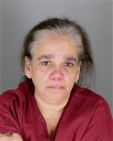 CHRISTINE ANNE ITTER Mugshot / Oakland County MI Arrests / Oakland County Michigan Arrests