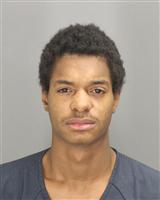 KHALIL KWALI WILLIAMS Photo / KHALIL KWALI WILLIAMS Images