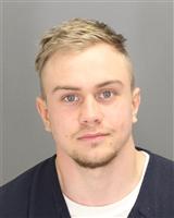 TIMOTHY  FEDOSSEEV Mugshot / Oakland County MI Arrests / Oakland County Michigan Arrests