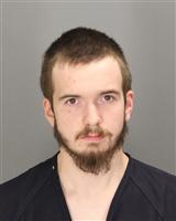 CALEB JAMES KLINKENBERGER Mugshot / Oakland County MI Arrests / Oakland County Michigan Arrests