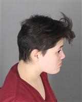 JADE MERCEDEZ GARCIA Mugshot / Oakland County MI Arrests / Oakland County Michigan Arrests
