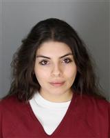 MAYRA TERESA CHAVARRIA Mugshot / Oakland County MI Arrests / Oakland County Michigan Arrests