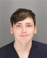TYLER JAMES BORELLA Mugshot / Oakland County MI Arrests / Oakland County Michigan Arrests