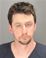RYAN JOSEPH HEALY Mugshot / Oakland County MI Arrests / Oakland County Michigan Arrests