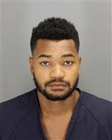ROBERT TAYLOR NEWSON Mugshot / Oakland County MI Arrests / Oakland County Michigan Arrests