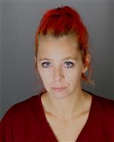 SARAH MARIE SEAGRAM Mugshot / Oakland County MI Arrests / Oakland County Michigan Arrests